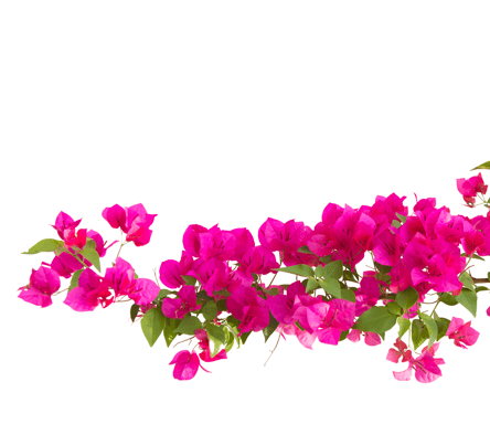 decoration