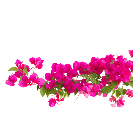 decoration